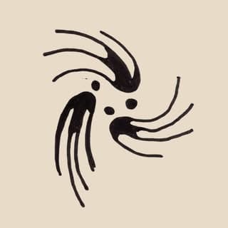 The SoFlow Collective